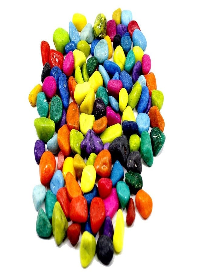 ABG Round Glass Terrarium/Aquarium Vessel. ONE Unit with 200GM. Colorful Stones. - Image 2